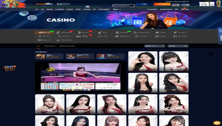 surewin howtoguide4